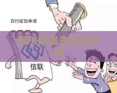 海尔消费金融起诉吗