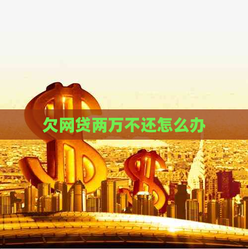欠网贷两万不还怎么办