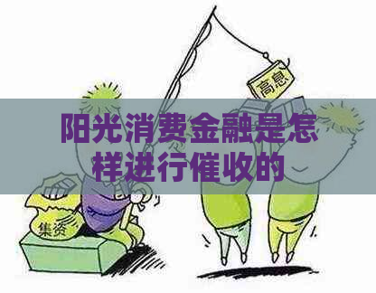 阳光消费金融是怎样进行的