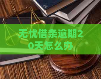 无忧借条逾期20天怎么办