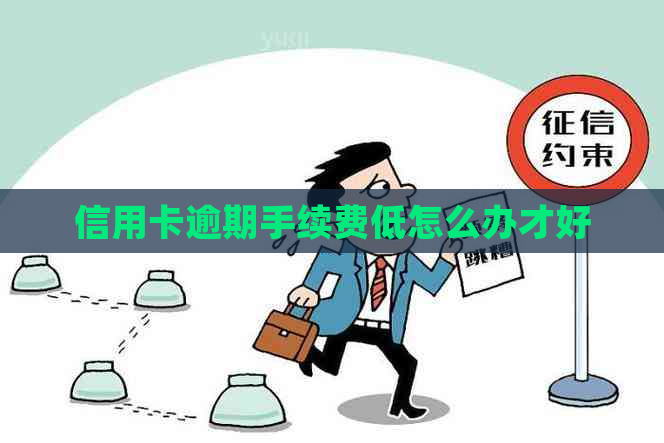 信用卡逾期手续费低怎么办才好