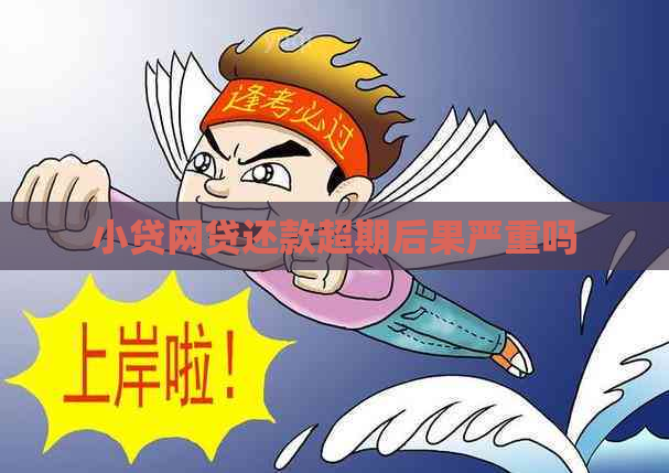 小贷网贷还款超期后果严重吗