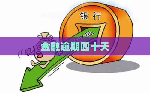 金融逾期四十天