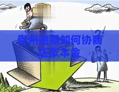 贵州逾期如何协商还款本金