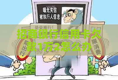 招商银行信用卡欠款1万2怎么办