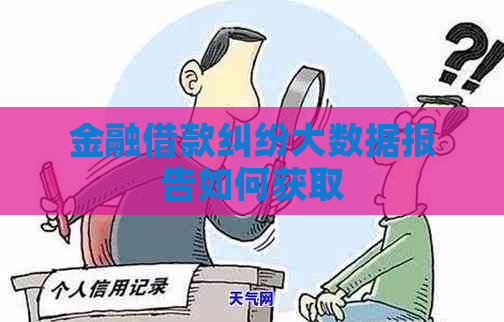 金融借款纠纷大数据报告如何获取