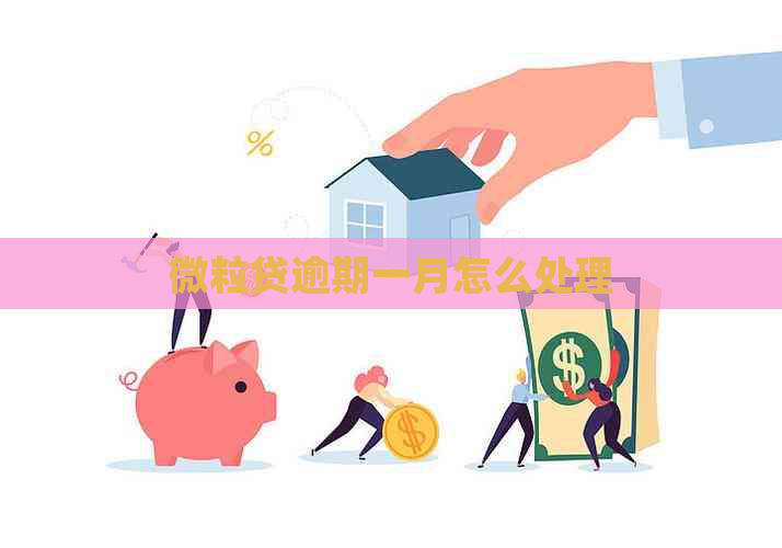 微粒贷逾期一月怎么处理