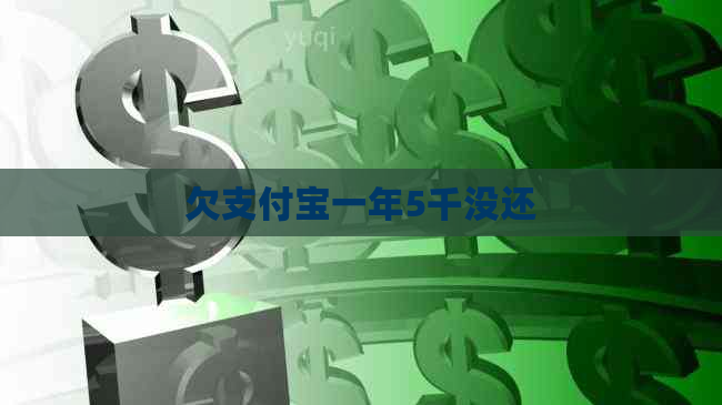 欠支付宝一年5千没还