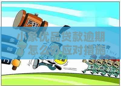 小象优品贷款逾期了怎么办应对措施