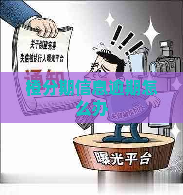 橙分期信息逾期怎么办