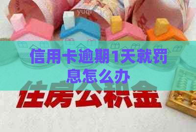 信用卡逾期1天就罚息怎么办