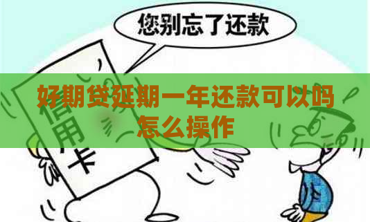 好期贷延期一年还款可以吗怎么操作