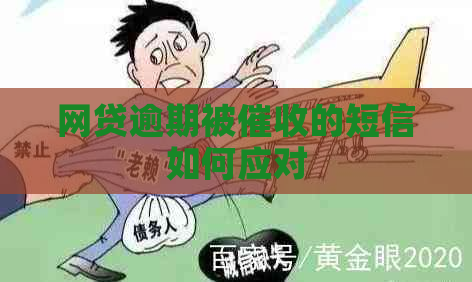 网贷逾期被的短信如何应对