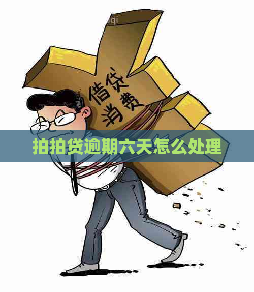 逾期六天怎么处理