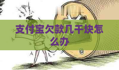 支付宝欠款几千块怎么办