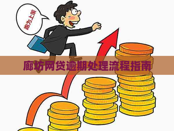 廊坊网贷逾期处理流程指南