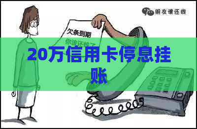 20万信用卡停息挂账