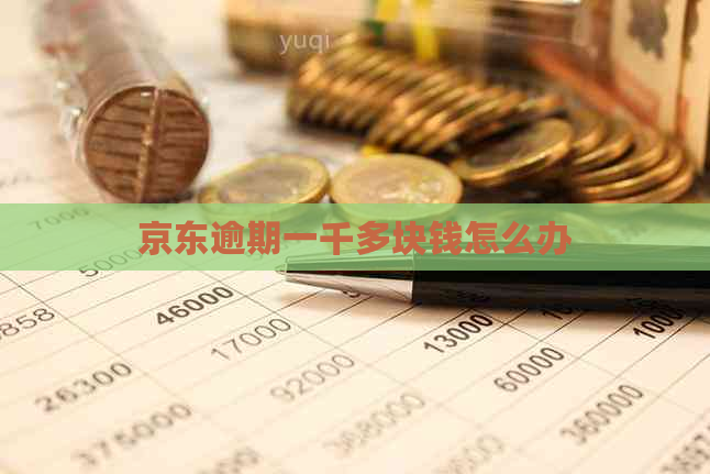 京东逾期一千多块钱怎么办