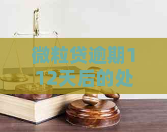 微粒贷逾期112天后的处理方式及后果