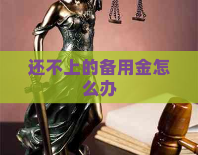 还不上的备用金怎么办