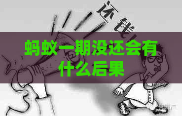 蚂蚁一期没还会有什么后果