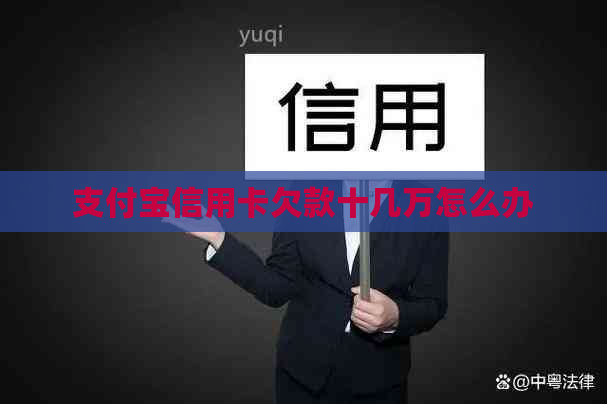 支付宝信用卡欠款十几万怎么办