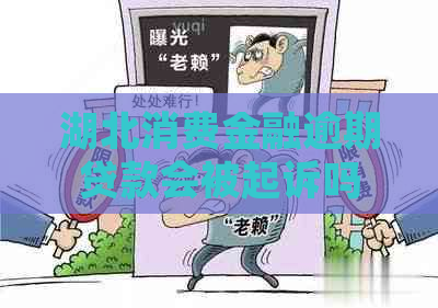 湖北消费金融逾期贷款会被起诉吗