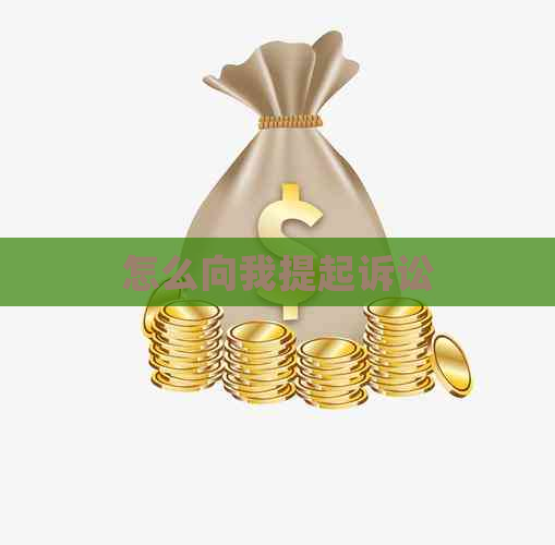 怎么向我提起诉讼