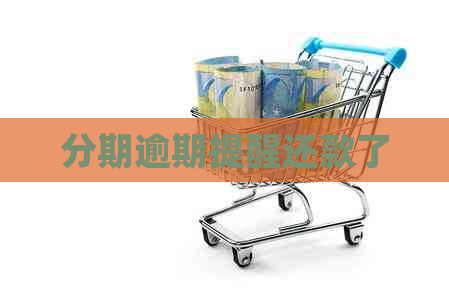 分期逾期提醒还款了