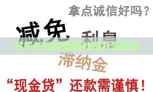 苏宁任性贷逾期处理方法详解