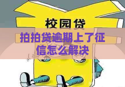 逾期上了怎么解决