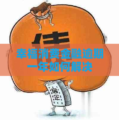 幸福消费金融逾期一年如何解决