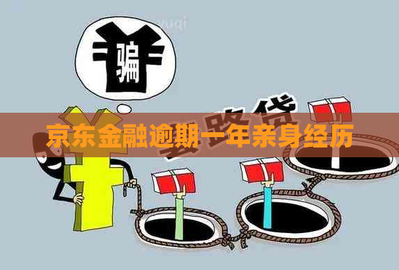 京东金融逾期一年亲身经历