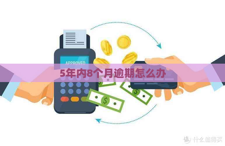 5年内8个月逾期怎么办