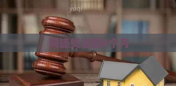 网捷贷逾期6个月