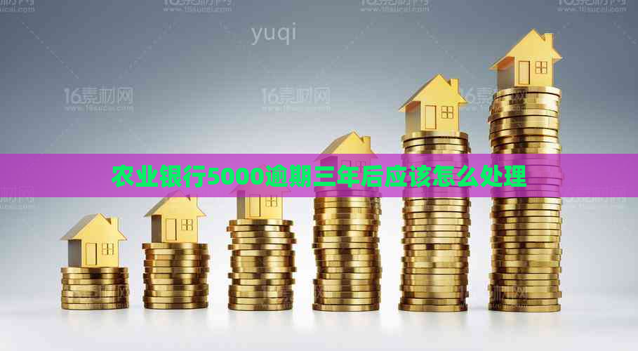 农业银行5000逾期三年后应该怎么处理
