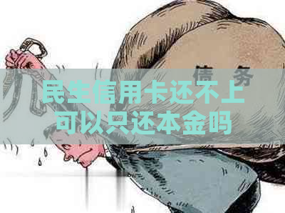 民生信用卡还不上可以只还本金吗