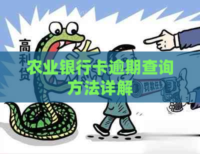 农业银行卡逾期查询方法详解
