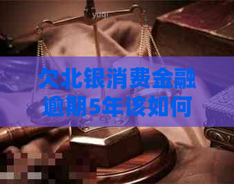 欠北银消费金融逾期5年该如何处理