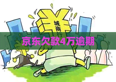 京东欠款4万逾期
