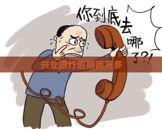 兴业银行逾期两万多