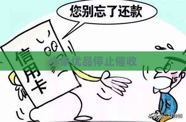 小象优品停止