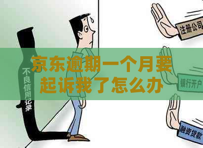 京东逾期一个月要起诉我了怎么办