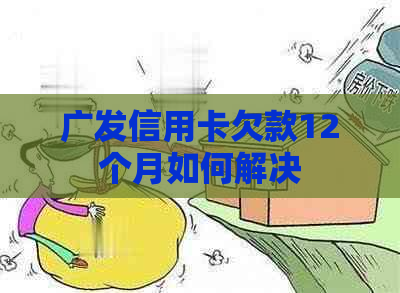 广发信用卡欠款12个月如何解决