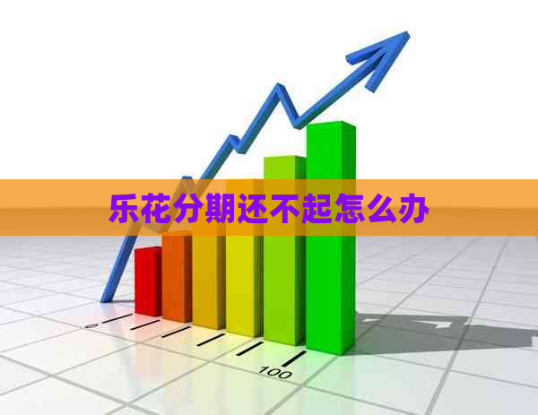 乐花分期还不起怎么办