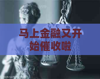 马上金融又开始啦