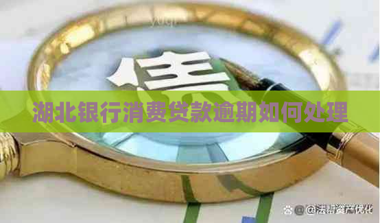 湖北银行消费贷款逾期如何处理