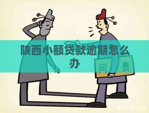 陕西小额贷款逾期怎么办