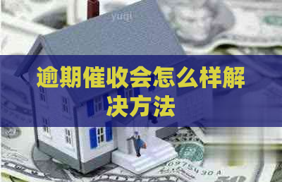 逾期会怎么样解决方法