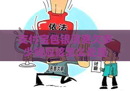 支付宝包银消费欠多少钱应该怎么处理